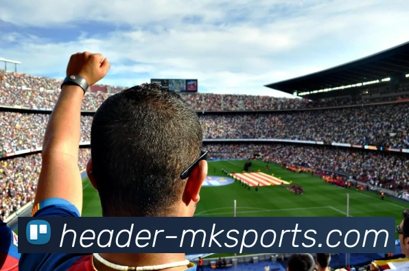 MK体育APP 封面图